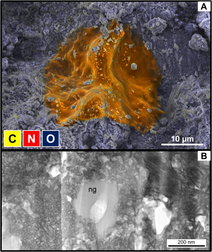 Fig. 6.