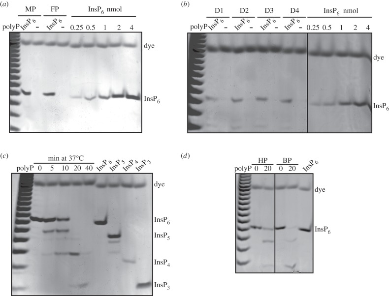 Figure 4.