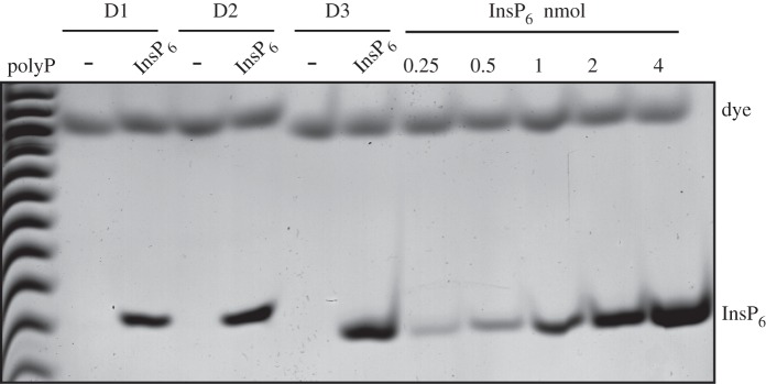 Figure 5.