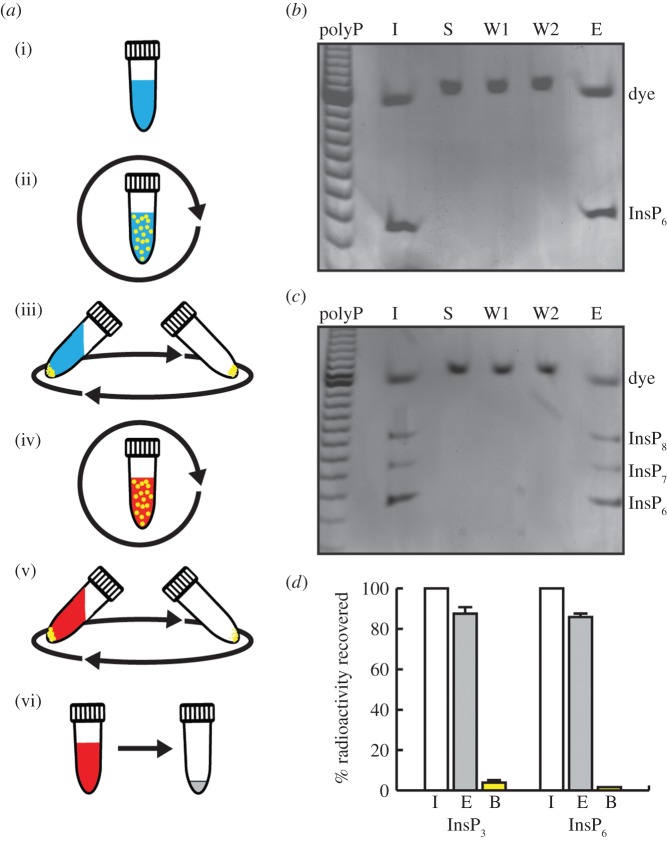 Figure 1.