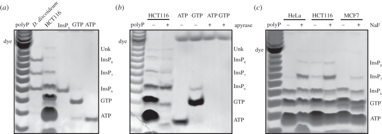 Figure 2.