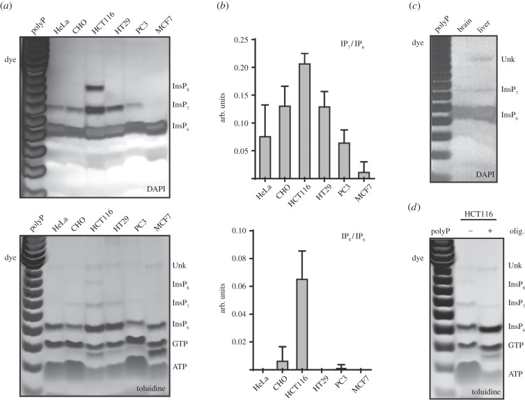 Figure 3.