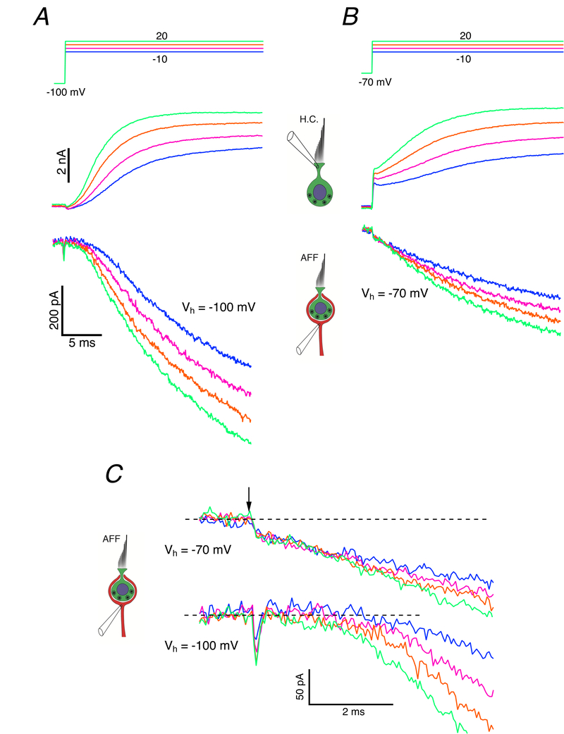 Figure 10.