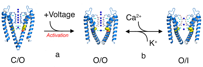 Figure 11.