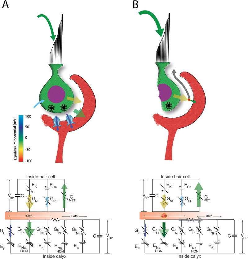 Figure 12.