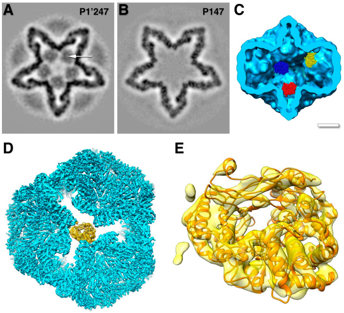 Figure 5