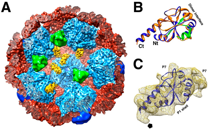 Figure 6