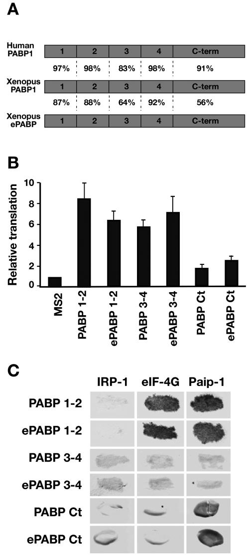 FIG. 6.