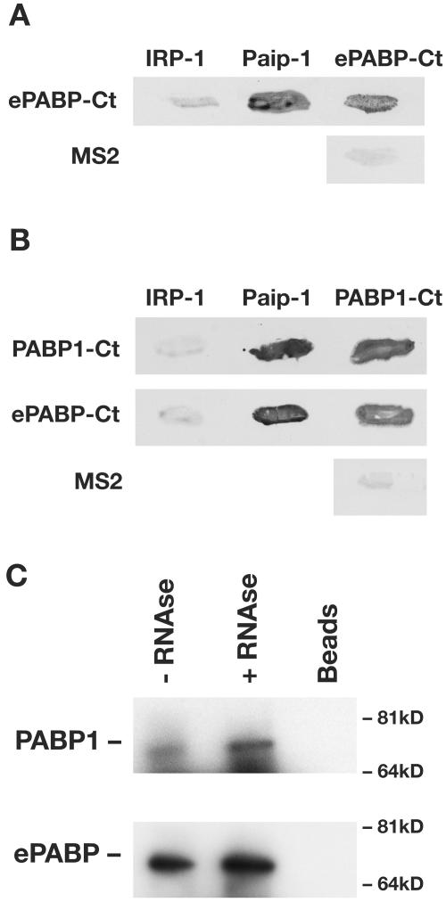 FIG. 7.