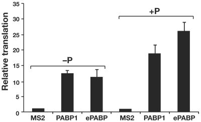 FIG. 8.