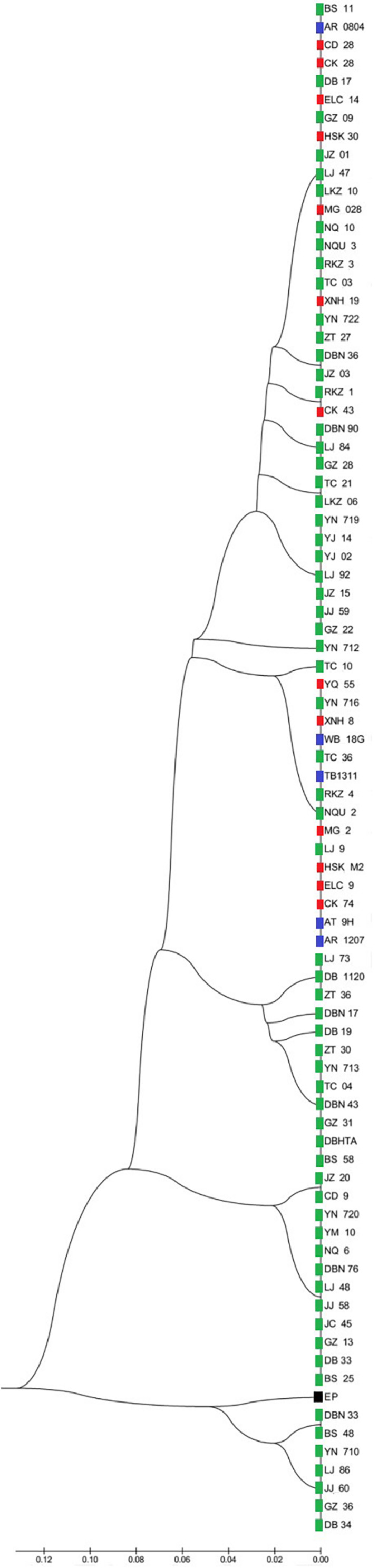 FIGURE 2