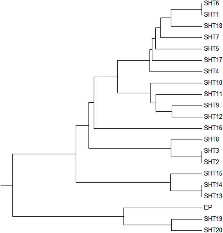 FIGURE 3