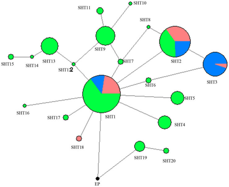 FIGURE 1