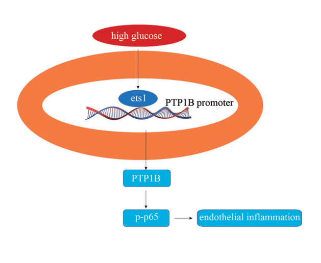 
Figure6
