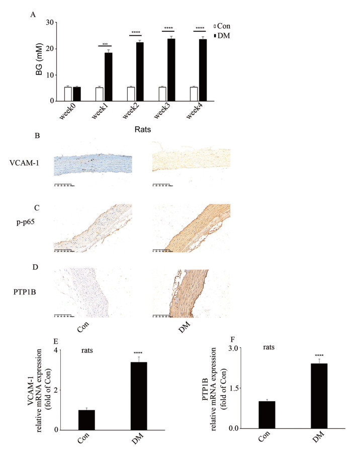 
Figure1
