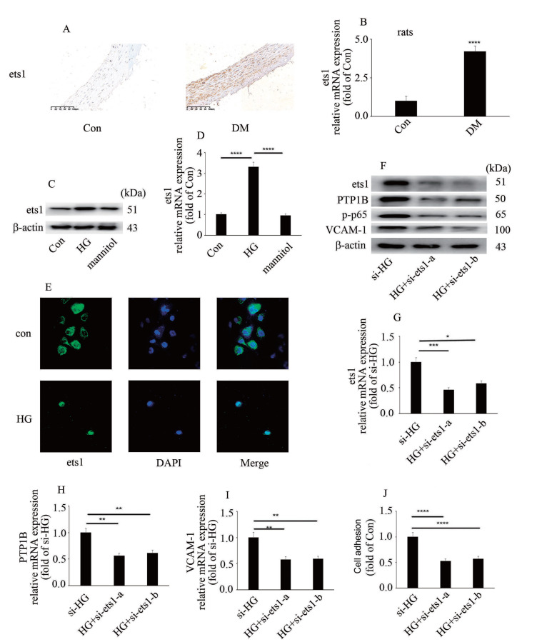 
Figure4
