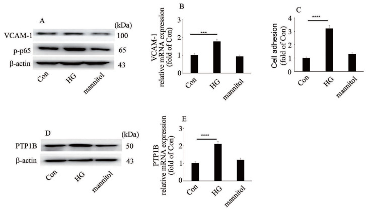 
Figure2
