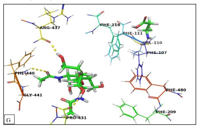 Fig. 8G