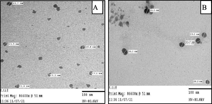 Fig. 5