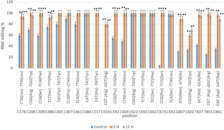 Figure 2