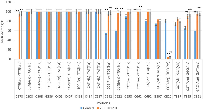 Figure 4