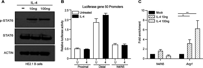 FIG 6