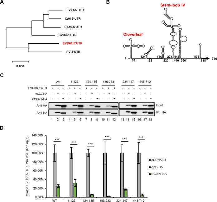 FIG 6