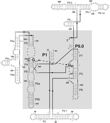 FIGURE 1.