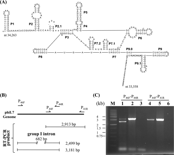 FIG. 4.