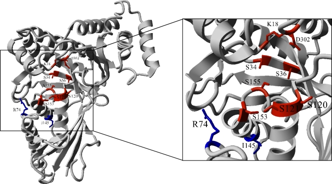 FIG. 5.