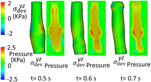 Fig. 8