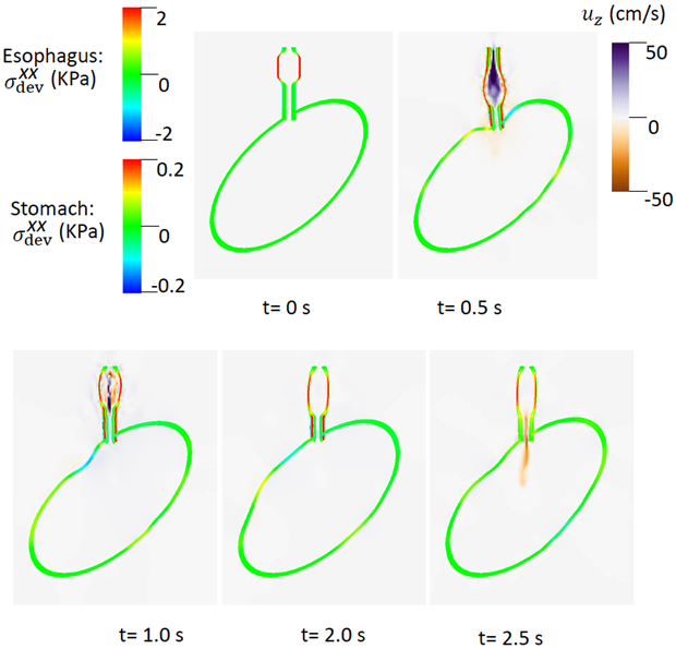 Fig. 4