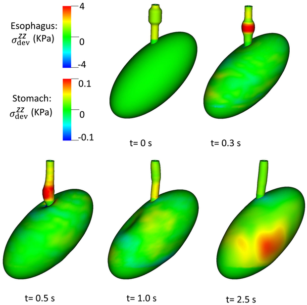 Fig. 5