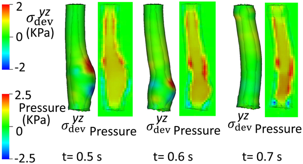 Fig. 8