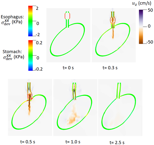 Fig. 7