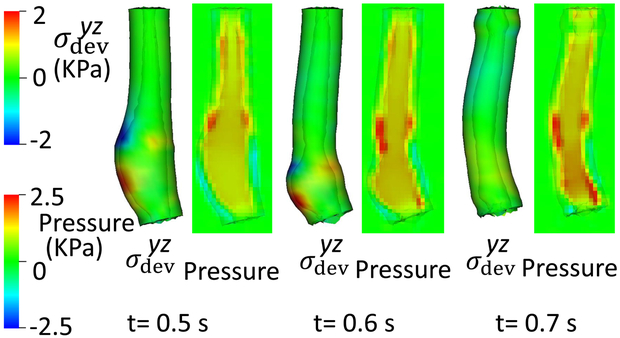 Fig. 8