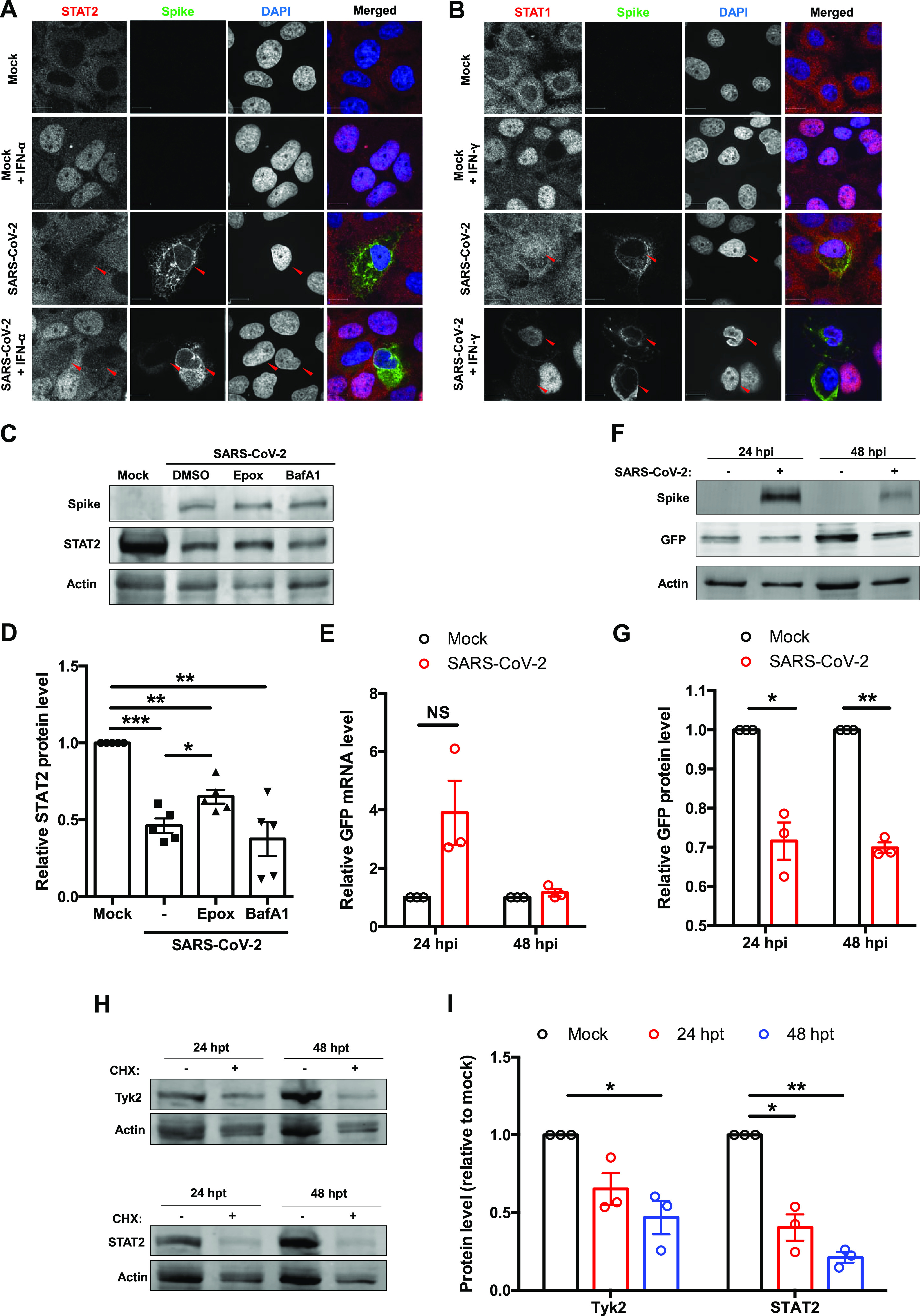 FIG 6