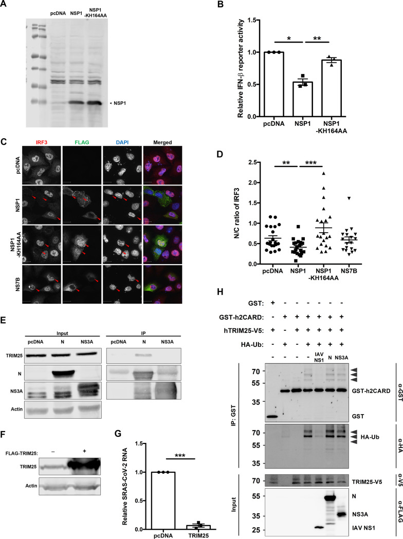 FIG 4