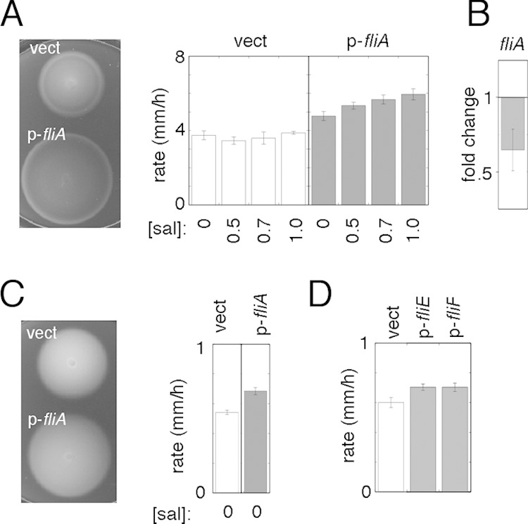 FIG 6