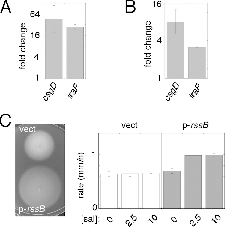 FIG 5