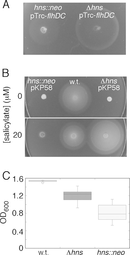 FIG 2