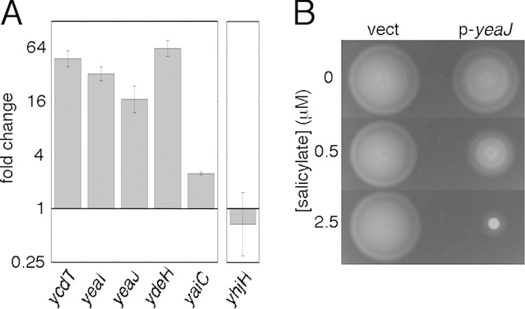 FIG 4