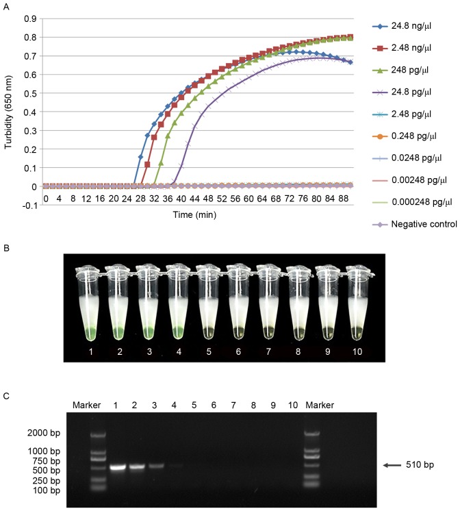 Figure 6.