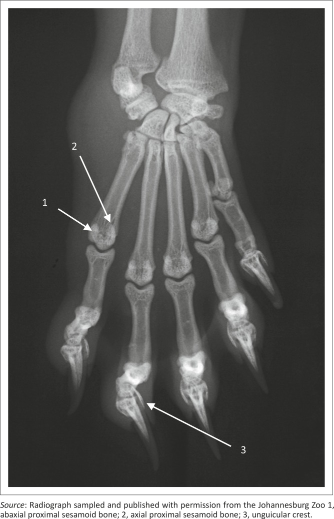FIGURE 9