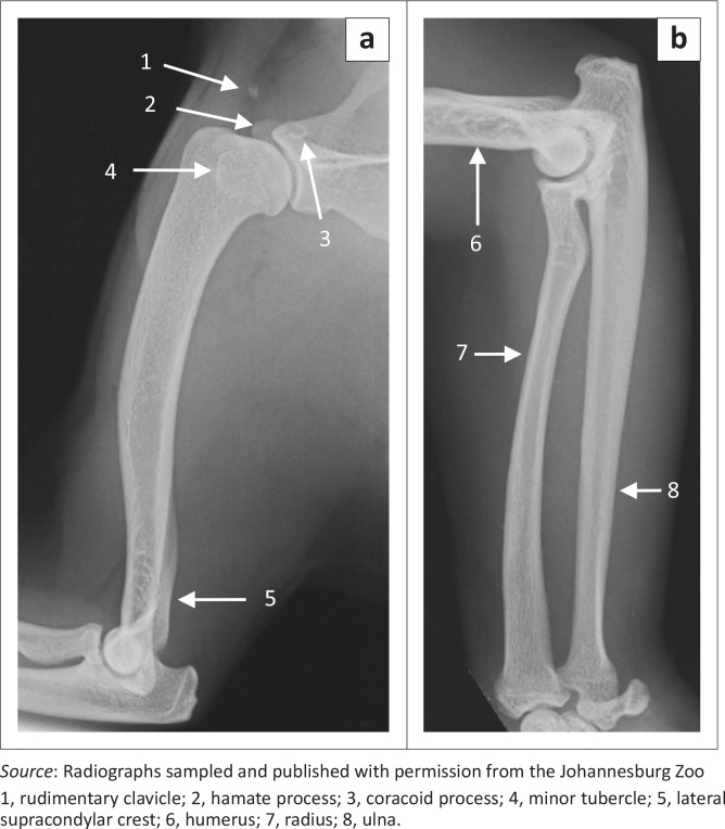 FIGURE 3