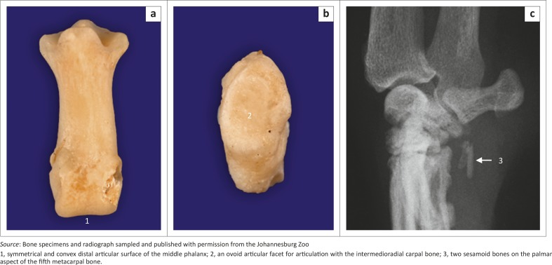 FIGURE 10