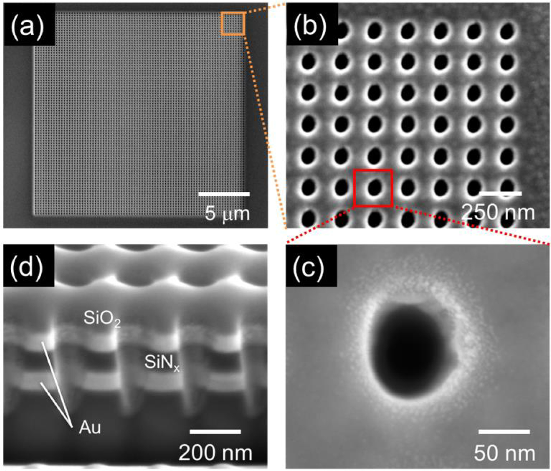 Figure 11.