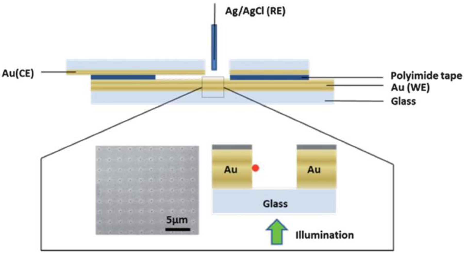 Figure 5.