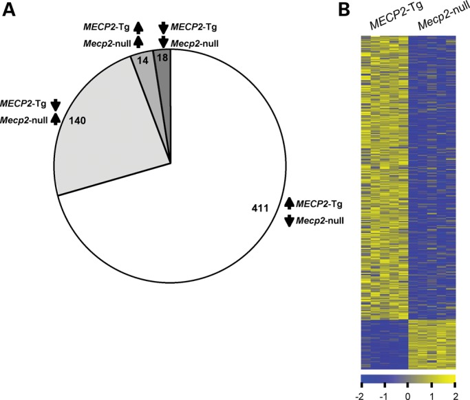 Figure 3.