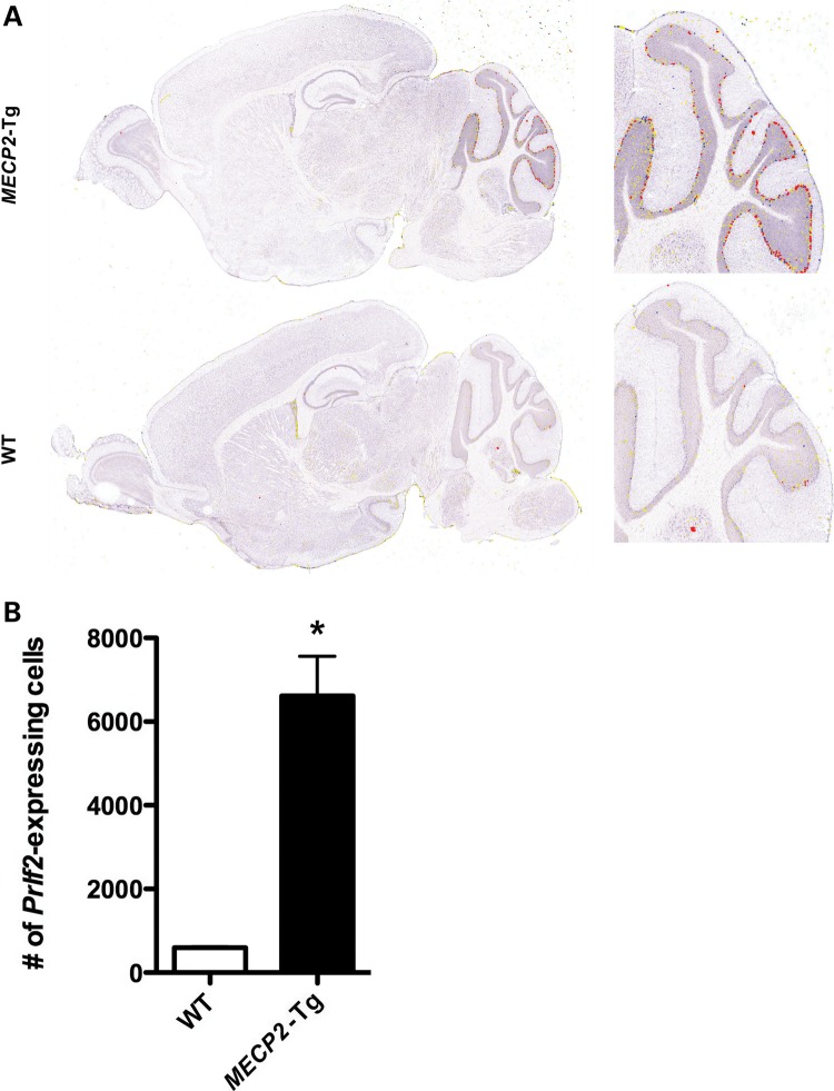 Figure 2.